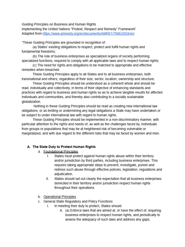Business and Human Rights Principles | PDF | Human Rights | Governance