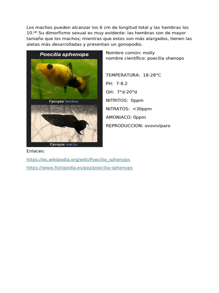 Características del Poecilia sphenops | PDF