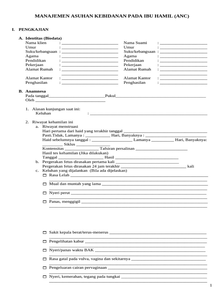 Format Pengkajian ANC Ibu Hamil | PDF