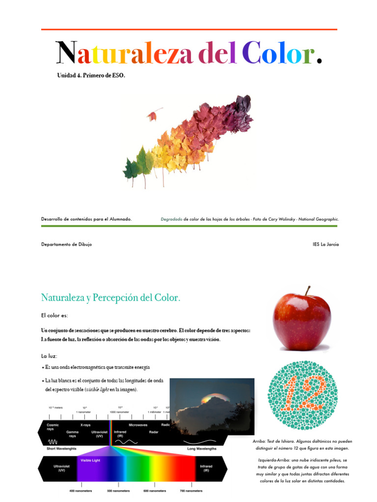 Naturaleza y Percepción del Color | PDF | Color | Visión