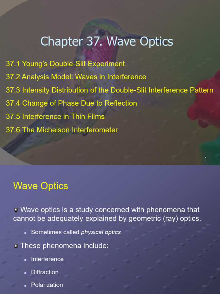 Young's Double-Slit Experiment Explained | PDF | Wavelength | Diffraction