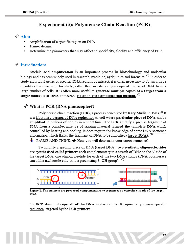 Polymerase Chain Reaction PCR | PDF | Polymerase Chain Reaction ...