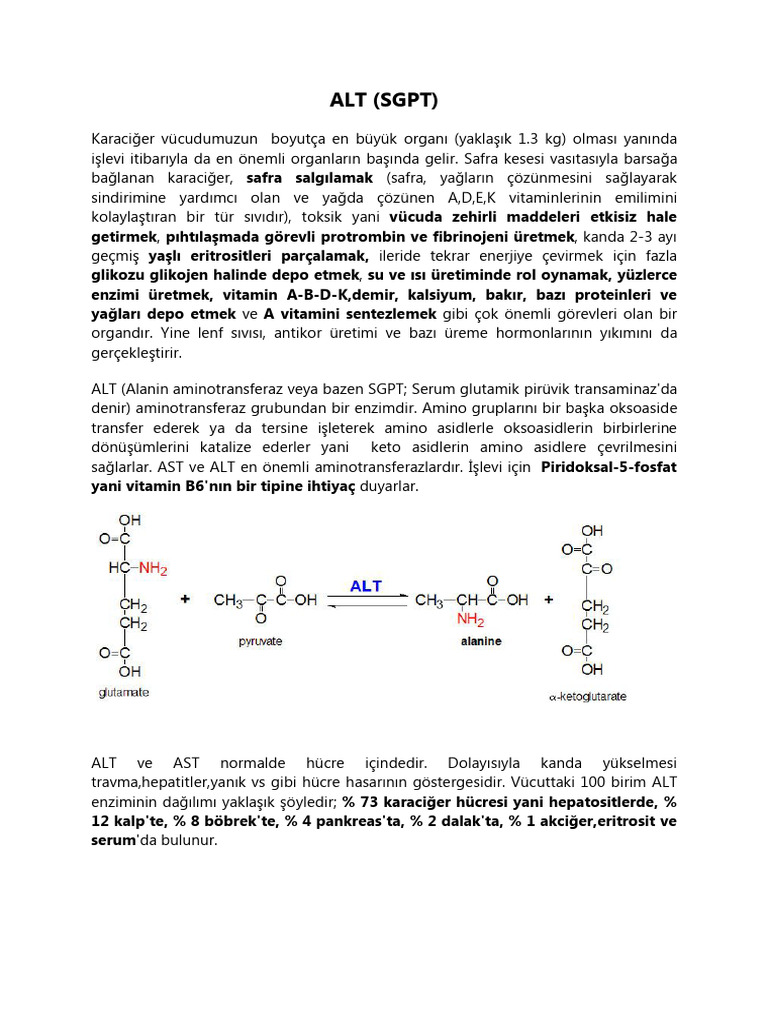Alt (SGPT) | PDF