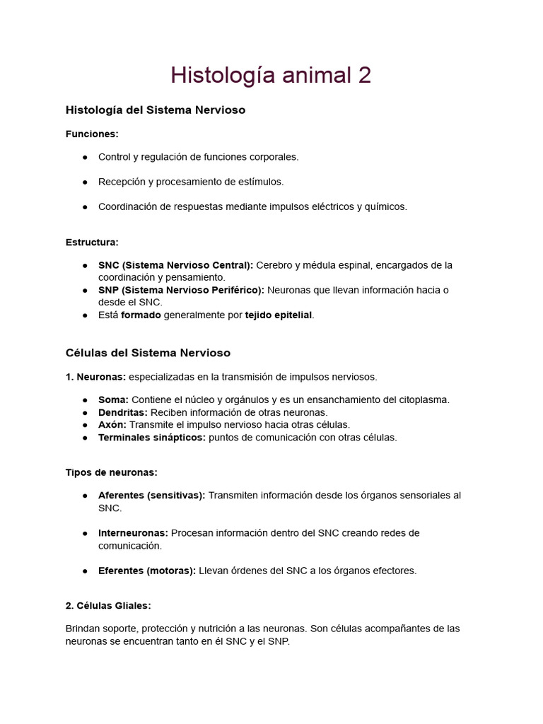 Hiatología Animal 2 | PDF | Sinapsis | Neurona