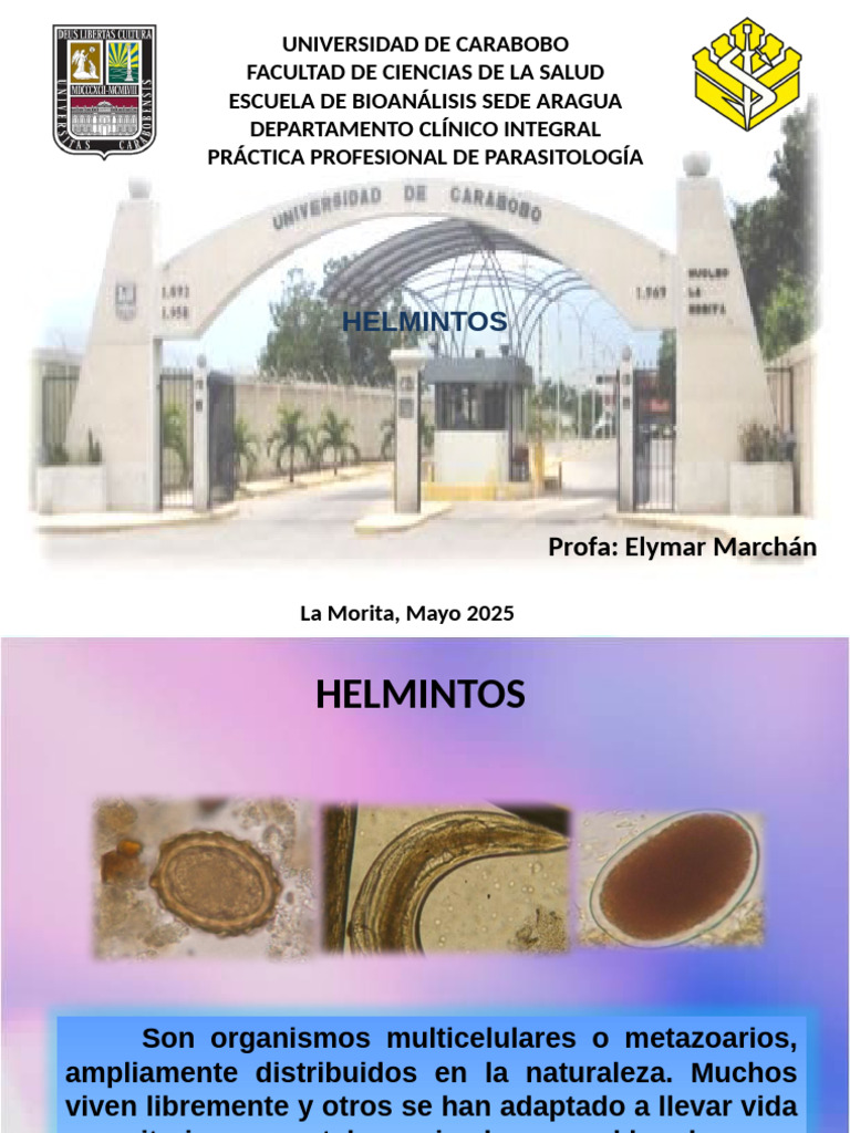 Helmintos | PDF | Parasitología | Animales y humanos