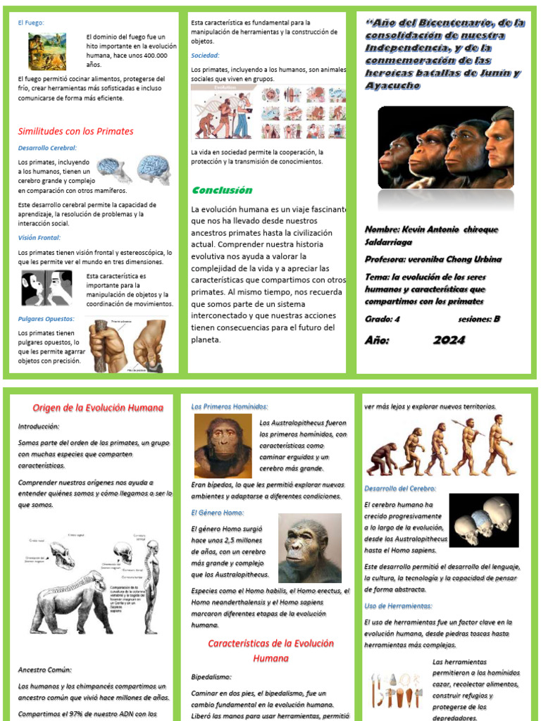 Tríptico sobre la Evolución Humana | PDF | Homo | Evolución humana
