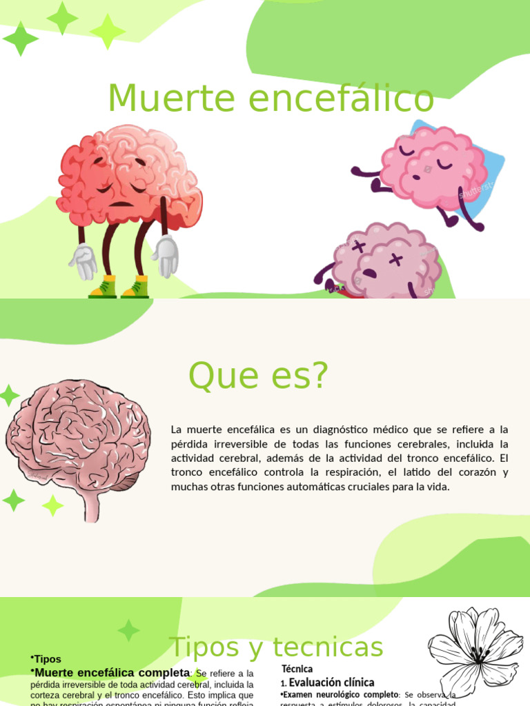 Definición y diagnóstico de muerte encefálica | PDF | Muerte | Cerebro