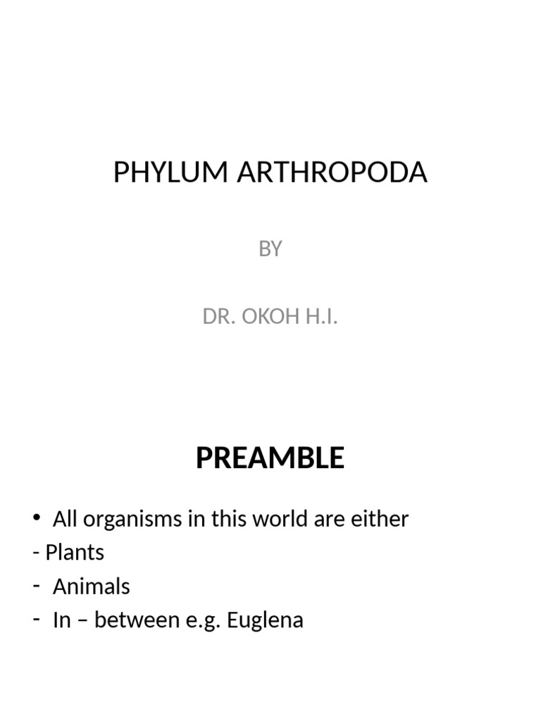 Why Bees Are Insects in Arthropoda | PDF | Insects | Zoology