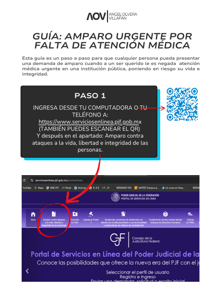 Guía de Amparo por Falta de Atención Médica | PDF | Cuidado de la salud ...