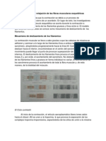 Contracción y Relajación de Las Fibras Musculares Esqueléticas