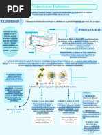 Nódulo de Ghon e Complexo de Ranke | PDF | Tuberculose | Mycobacterium ...