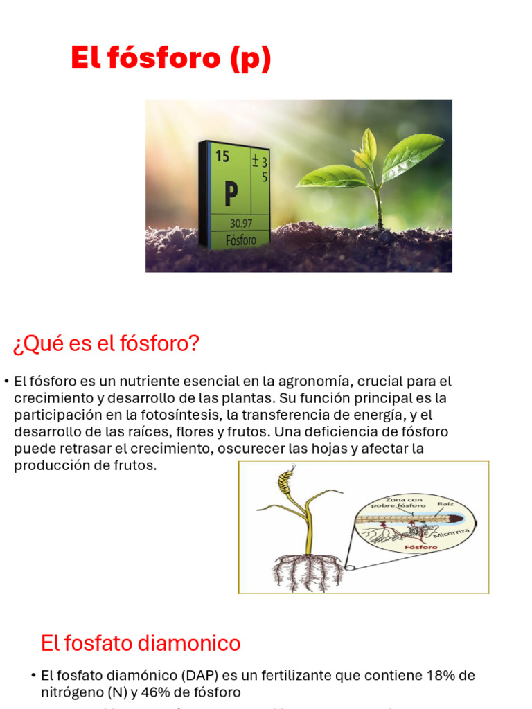 El Fosforo | PDF