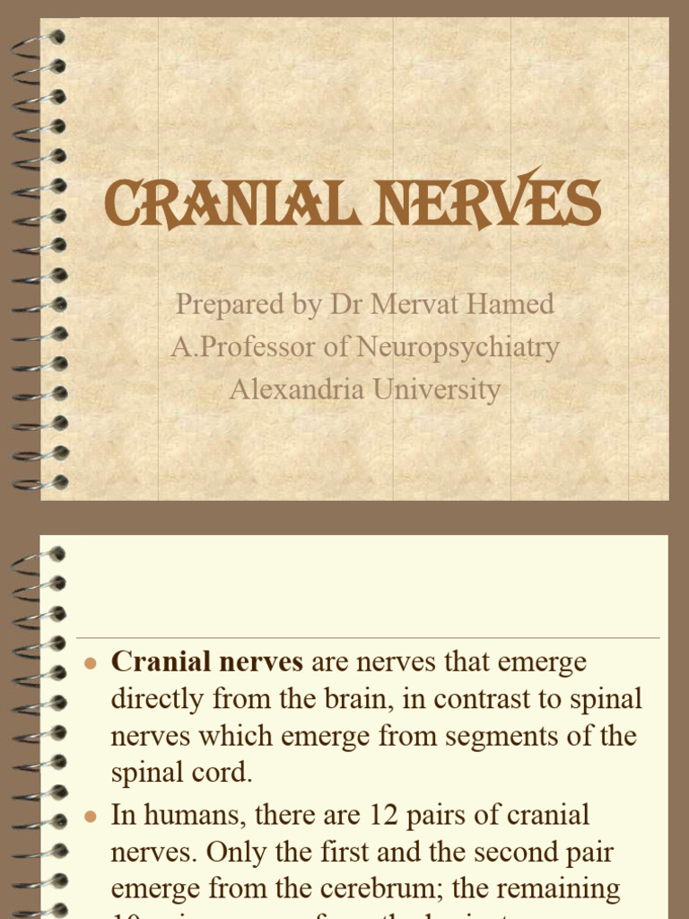 Cranial Nerves DR Mervat | PDF | Human Head And Neck | Nervous System