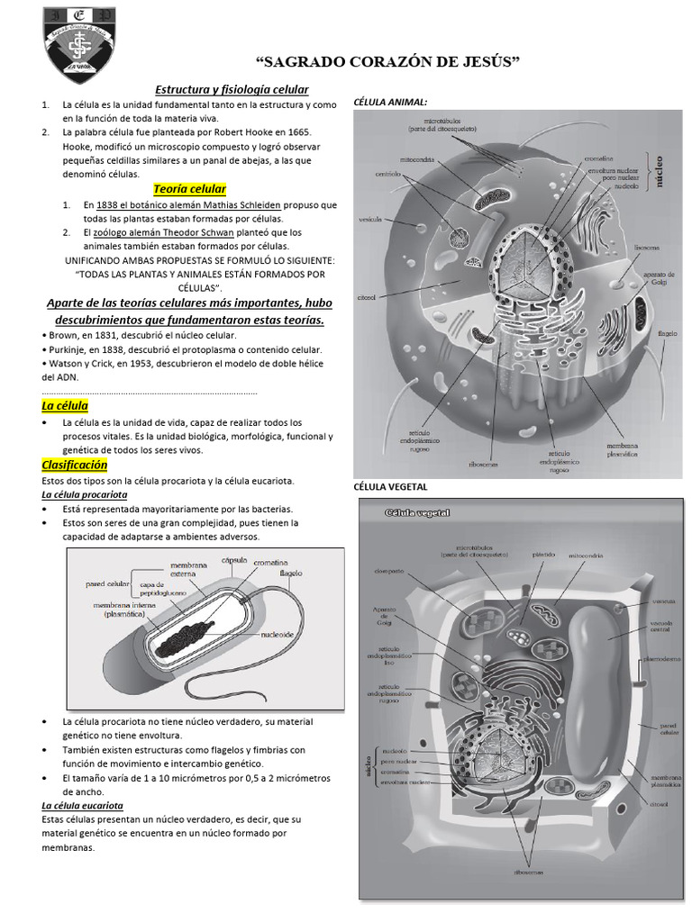Estructura y Fisiología Celular | PDF | Citoplasma | Biología Celular)