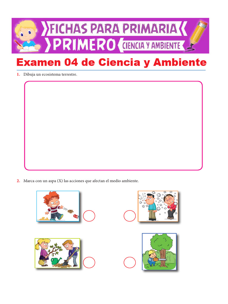 Exámen 4 de Ciencia y Ambiente para Primer Grado de Primaria | PDF