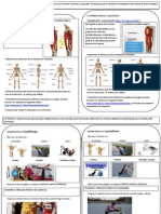 Localizacion Descripcion Musculos Jonathan Gomez