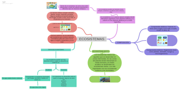 Tipos y Componentes de Ecosistemas | PDF | Ecosistema | Suelo