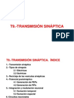 Fisiología I_T9_Transmisión sináptica