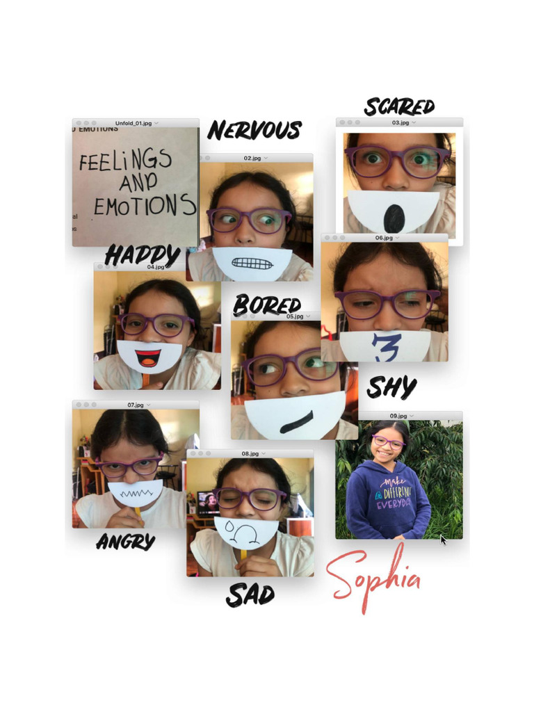 Feelings and Emotions | PDF