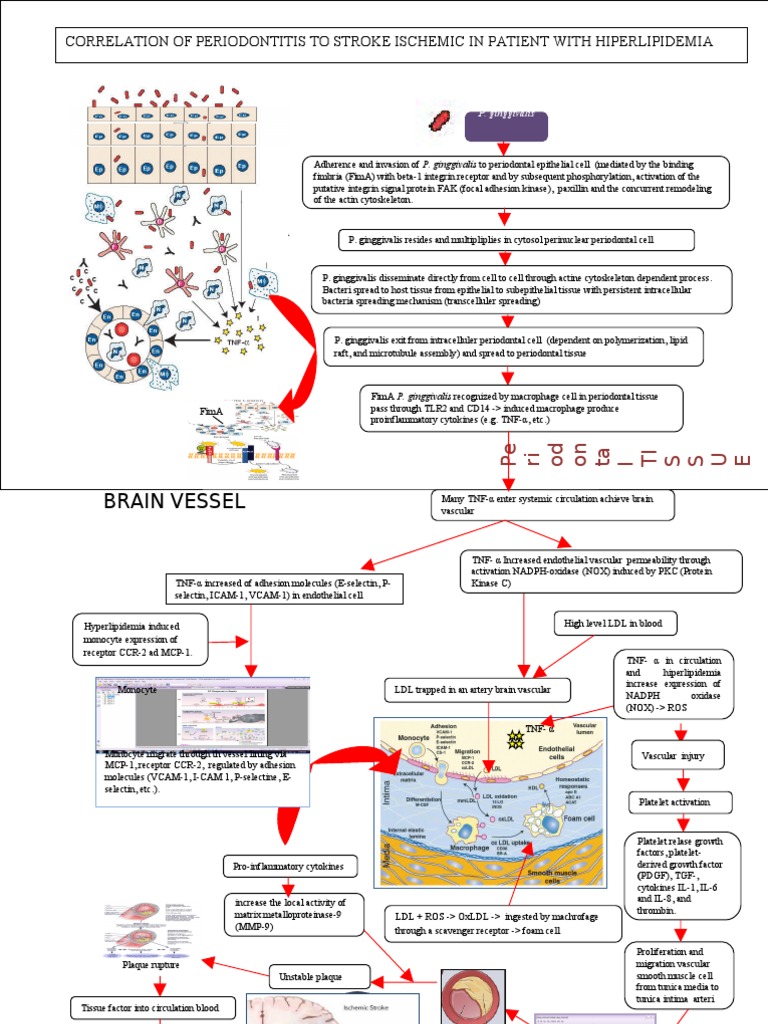 kerangka berpikir kerangka berpikir