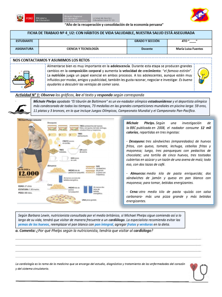 Kami Export - FICHA DE TRABAJO Nº4-4TO SEC-2025 | PDF | gordo | Alimentos