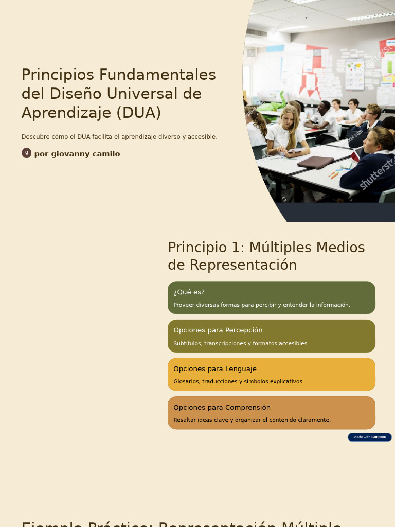 Principios Fundamentales Del Diseno Universal de Aprendizaje DUA | PDF