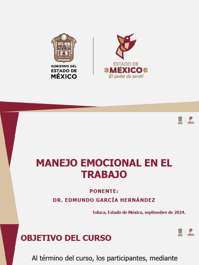Manejo de Las Emociones en El Trabajo 10092024 | PDF | Inteligencia ...