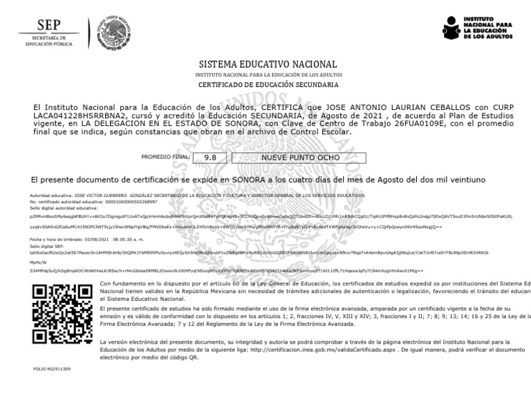 Cer PDF | PDF