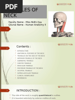 Cervical Lymph Node Mapping Guide | PDF