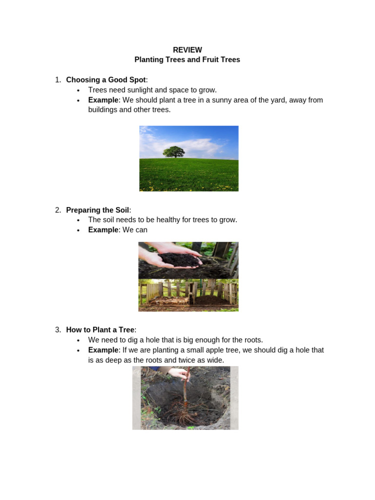 Tree Planting Guide for Beginners | PDF