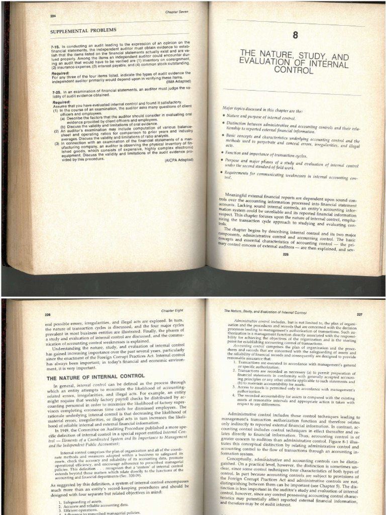 AUDIT Ch8 David Ritchie | PDF