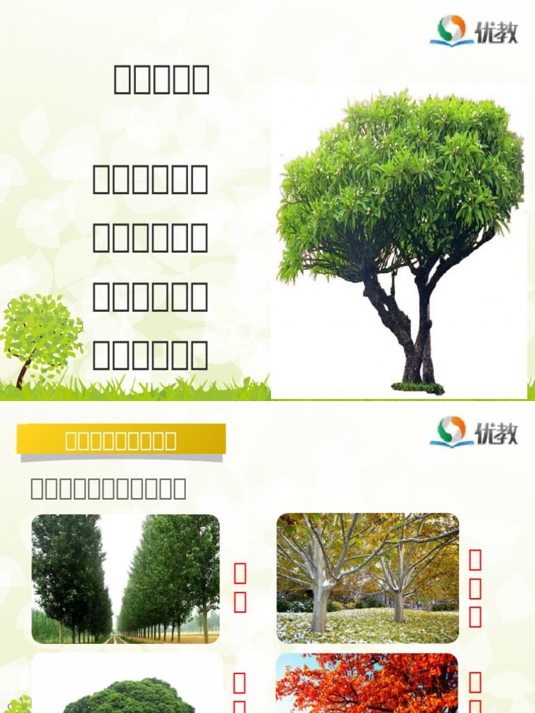 识字2：树之歌 | PDF