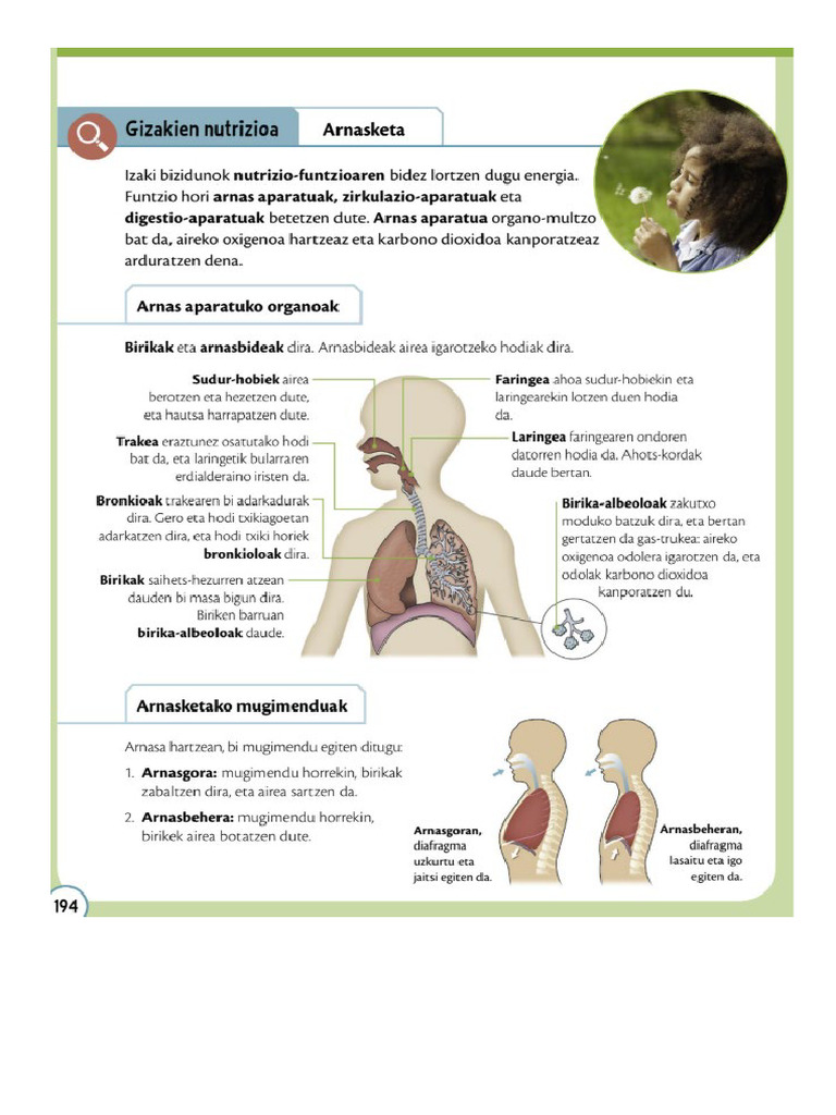 Inguru | PDF