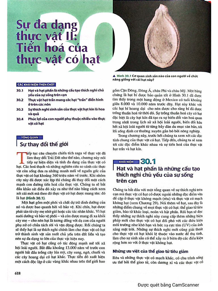 Su Da Dang Thuc Vat II | PDF