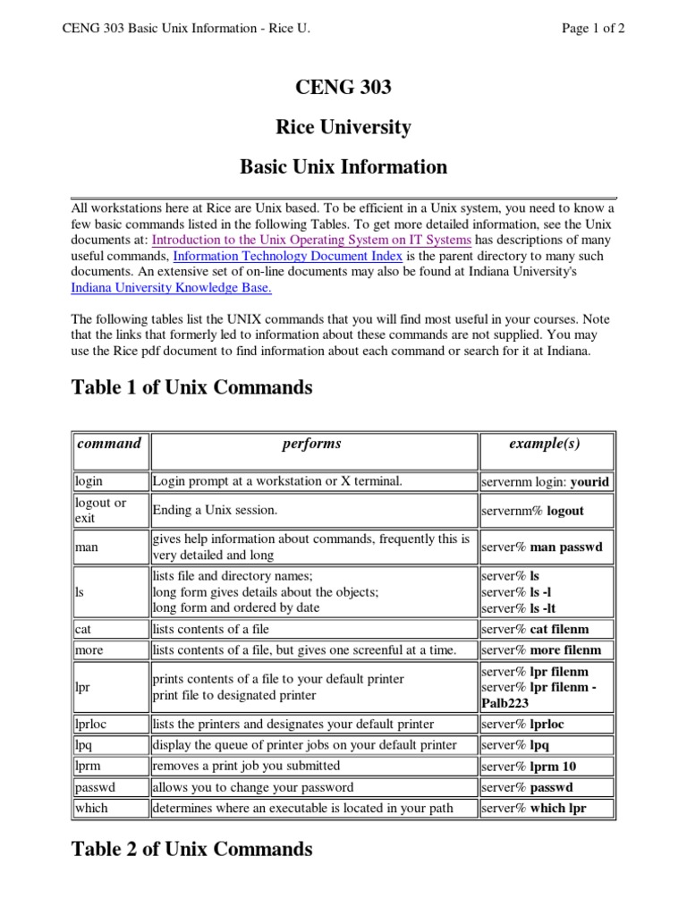 CENG 303 Basic Unix Information - Rice U | PDF | Computer File | Data ...