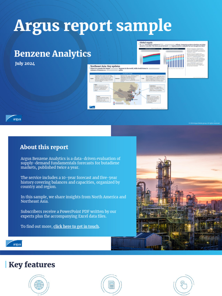 Benzene Market Insights 2024 | PDF | Oil Refinery | Benzene