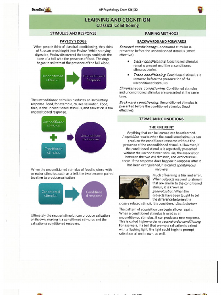 Classical Conditioning Explained | PDF | Classical Conditioning ...