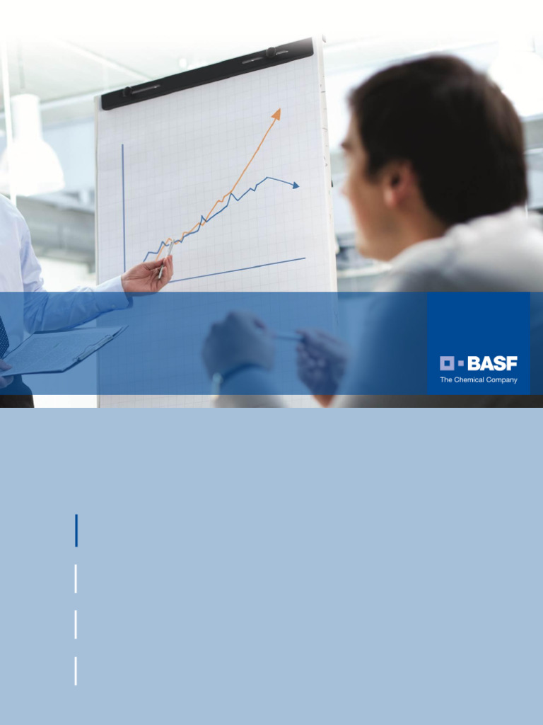 BASF's Global Finance Strategy Overview | PDF | Global Financial System ...