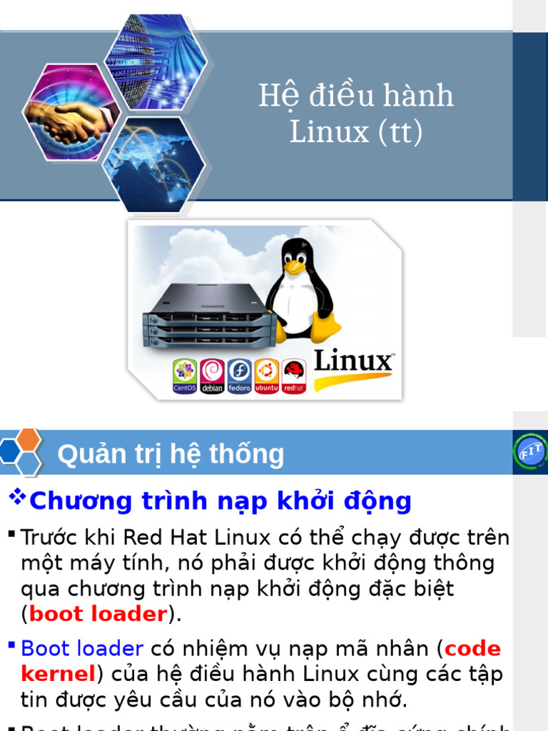 Linux P6 | PDF