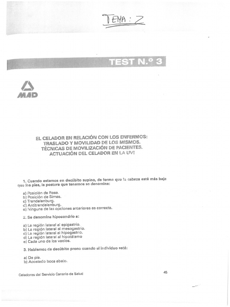 Tes Tema Nº 2 | PDF