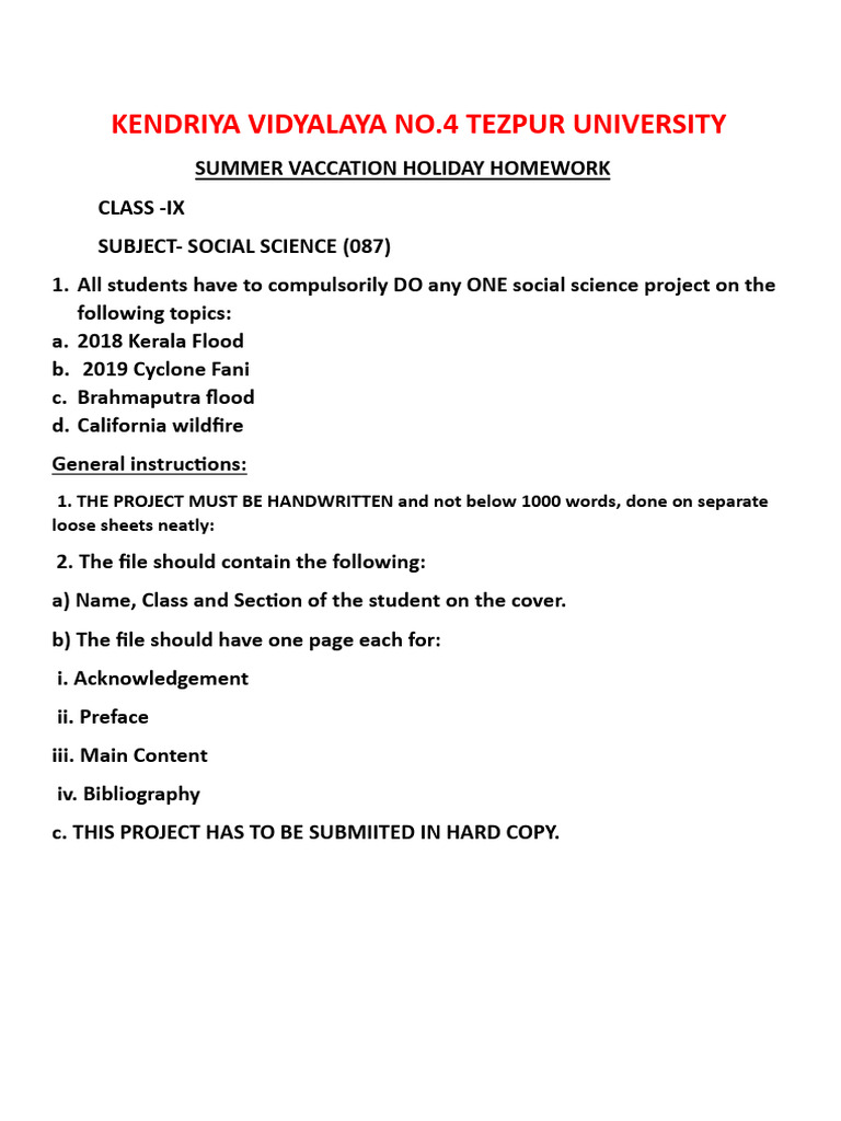 Class 9 Summer Vacation Home Work | PDF