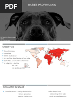 ERIG Infiltration | PDF | Injection (Medicine) | Rabies