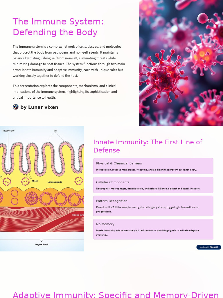 The Immune System Defending The Body | PDF | Immune System | Adaptive ...