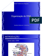 Organização do DNA