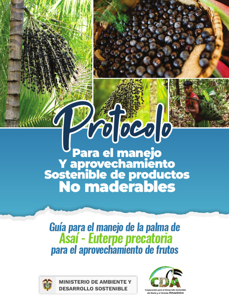Manejo Sostenible de Euterpe Precatoria | PDF | Deforestación | Los bosques