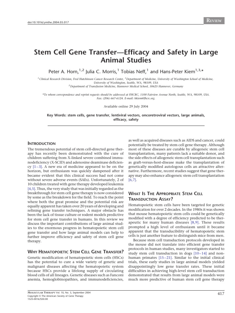 Stem Cell Gene Transfer in Large Animals | PDF | Viral Vector | Gene ...