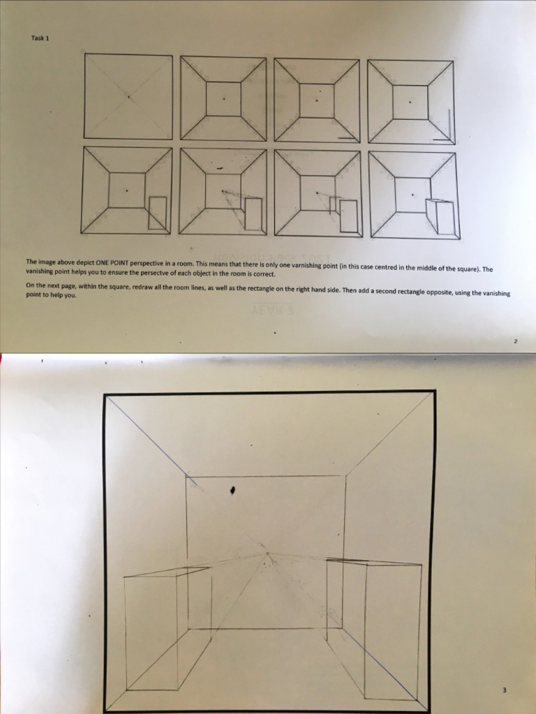 Perspective Homework | PDF
