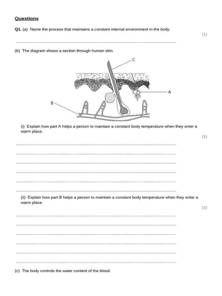 Y11 Revision Questions Coordination and Control | PDF | Nervous System ...