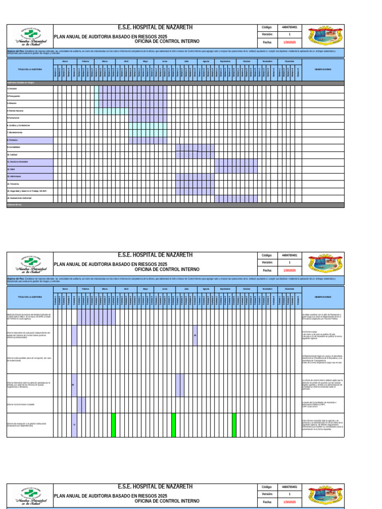 Plan Anual de Auditorías 2025 | PDF | Auditoría