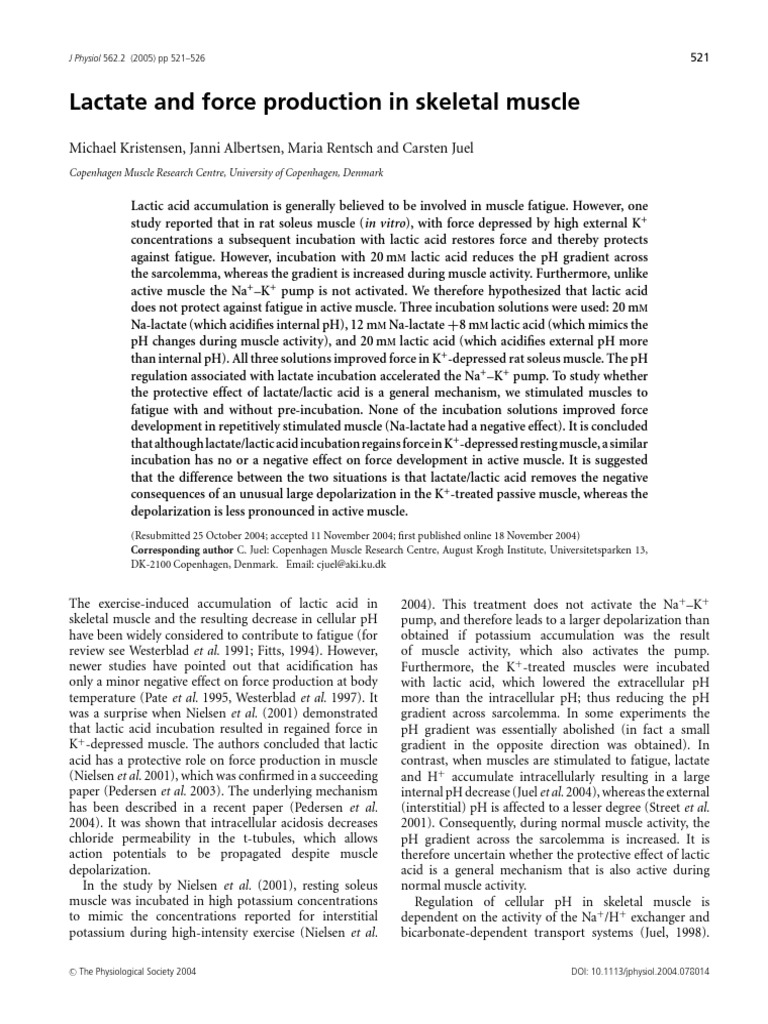 Endurance Exercise Performance The Physiology | PDF | Skeletal Muscle ...